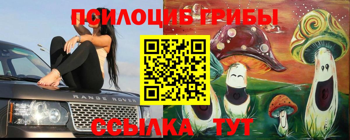 Псилоцибиновые грибы прущие грибы Чехов