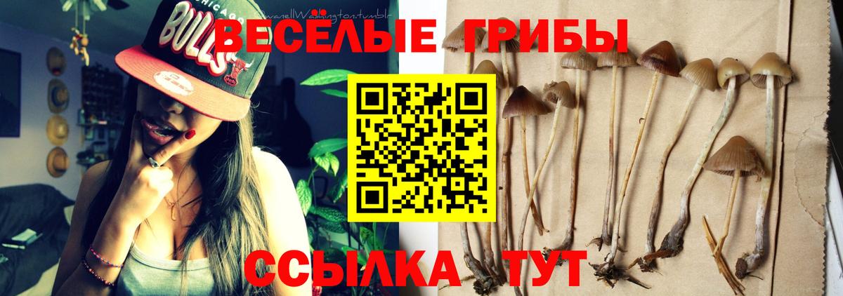 Галлюциногенные грибы GOLDEN TEACHER  Вход с VPN  Чехов 